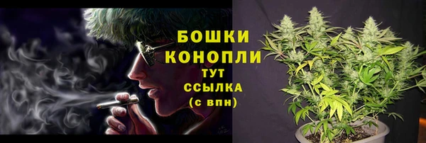 ГАЛЛЮЦИНОГЕННЫЕ ГРИБЫ Бугульма