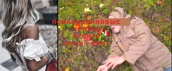 молекула духа Белокуриха