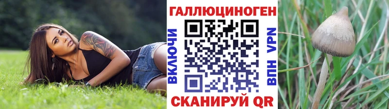 Галлюциногенные грибы Psilocybine cubensis  наркошоп  Дмитровск 